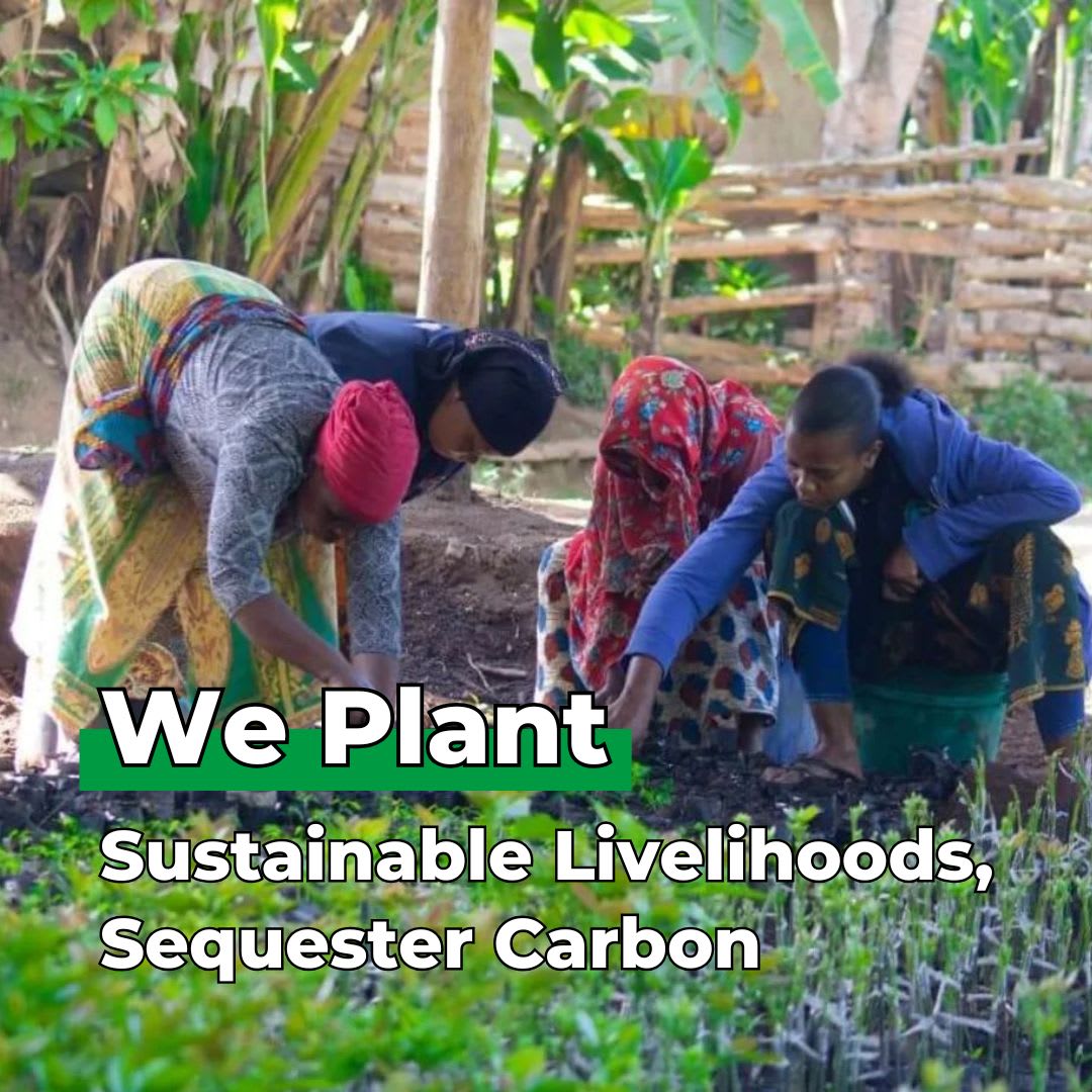 You Plant We Plant Tree Pouch - Plants 20 Trees