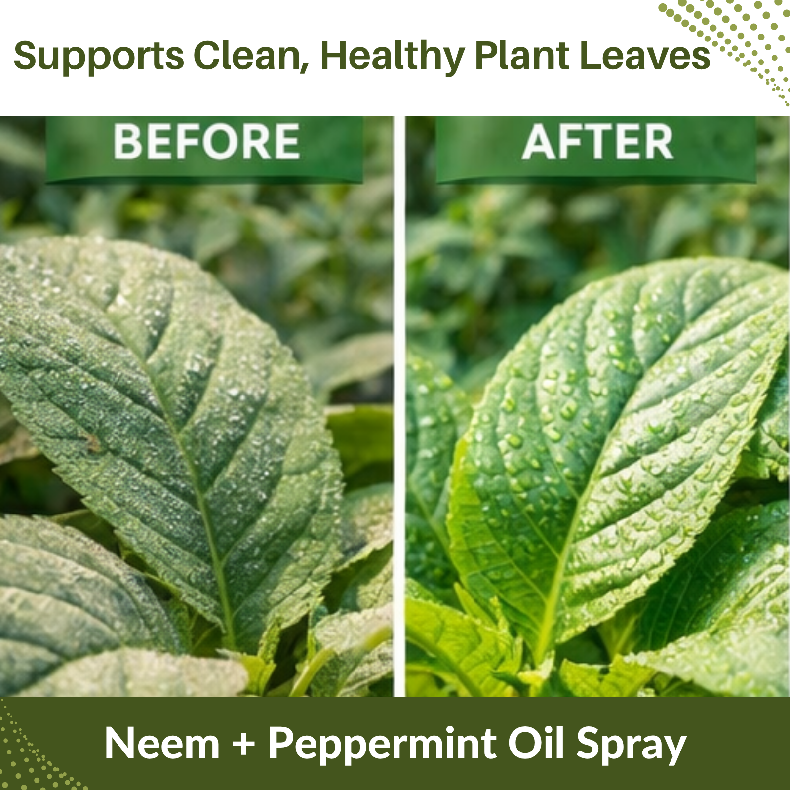 Neem & Peppermint Plant Spray for Garden, Vegetables & Indoor Plants – Botanical Leaf Care Mist, Supports Clean Healthy Leaves, Ready-to-Use Garden Spray for Fruits, Herbs & Houseplants