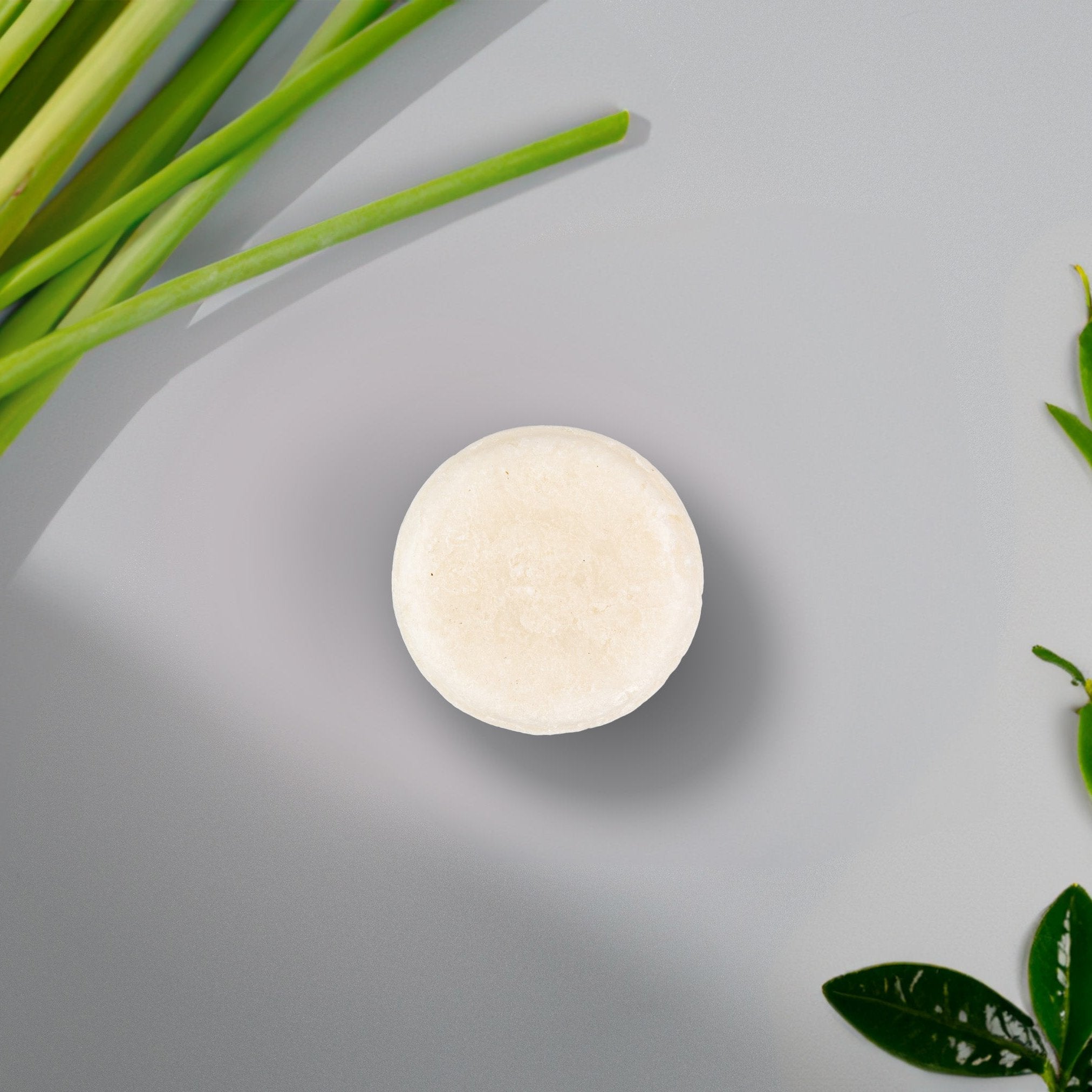 Sulfate-Free Shampoo Bar — Travel Size