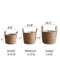 Handwoven Seagrass Basket for Plants (Shipping fees may apply)