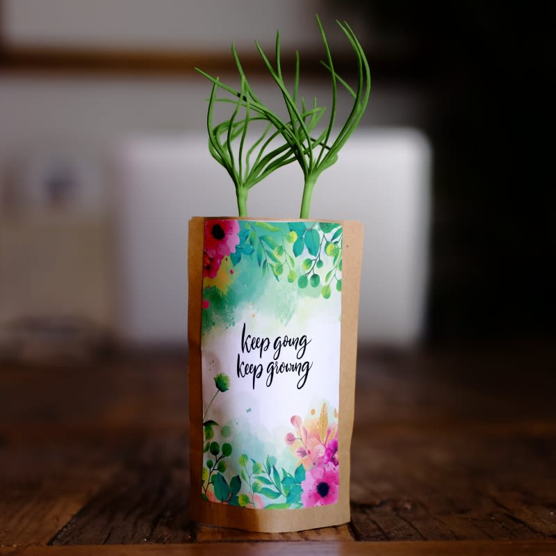 Keep going, keep growing - Plants 10 Trees