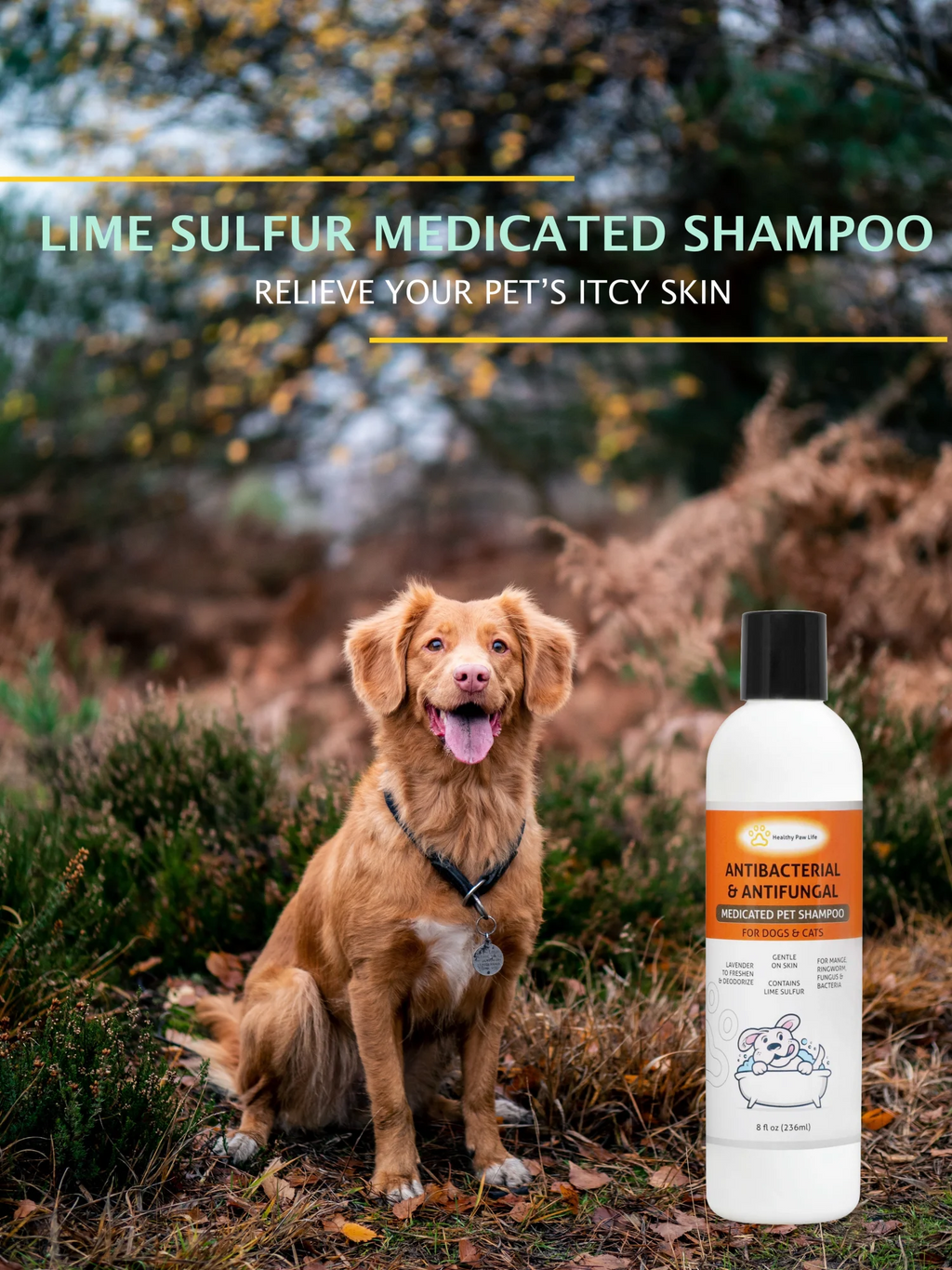 Lime Sulfur Pet Shampoo-1