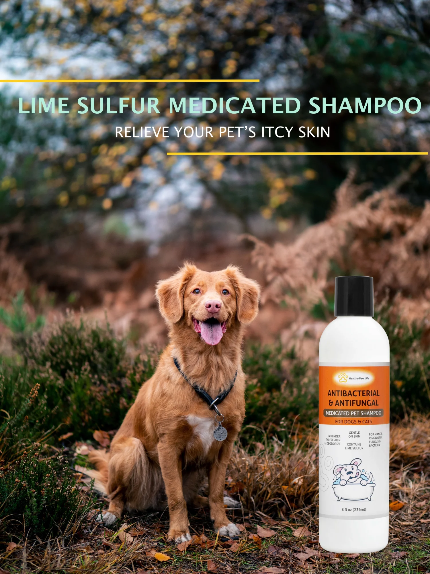 Lime Sulfur Pet Shampoo-1