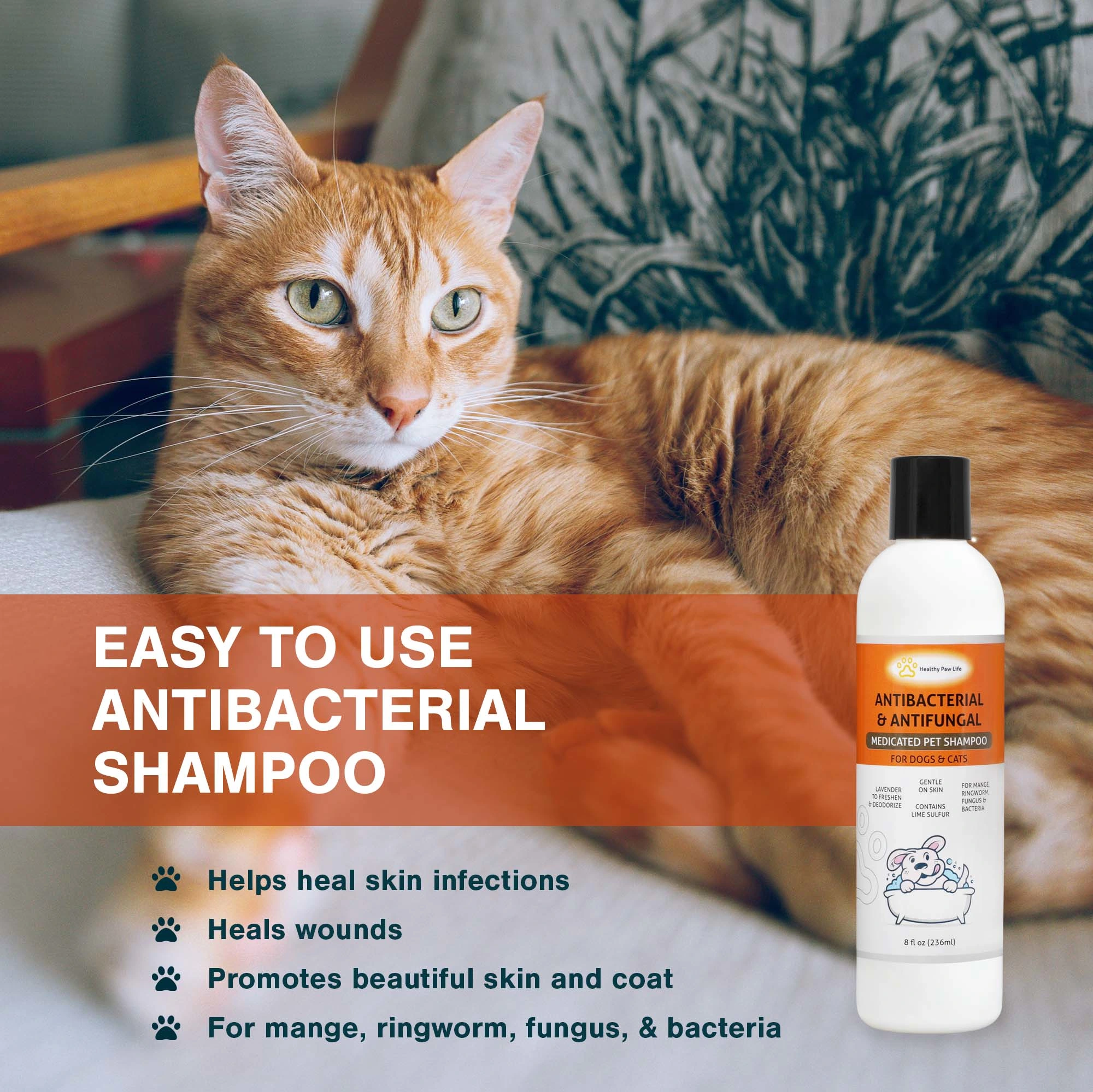 Lime Sulfur Pet Shampoo-3